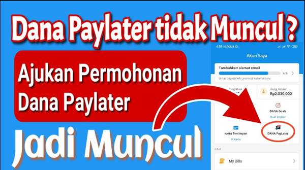 Cara Daftar DANA PayLater 2026 Syarat, Limit, dan Langkah Aktivasinya