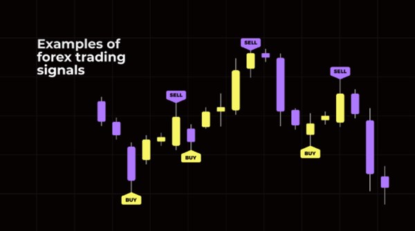 Update Signal Trading Akurat Hari Ini 2026, Peluang Profit Tinggi dari Market Terkini