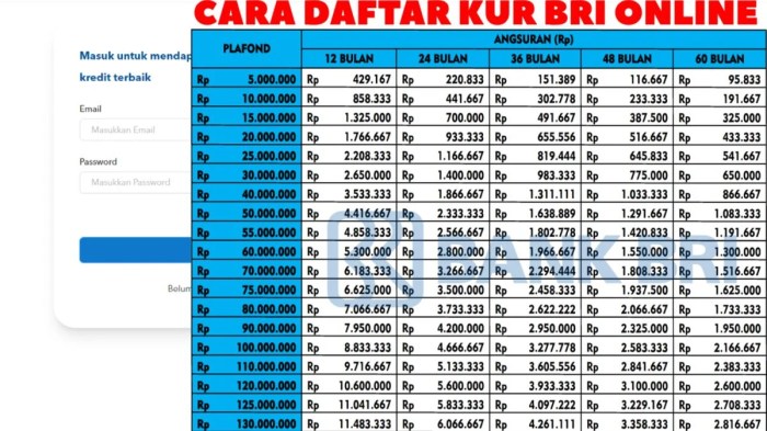 Ajukan Pinjaman KUR BRI Online Tanpa Ribet, Simak Caranya 2026