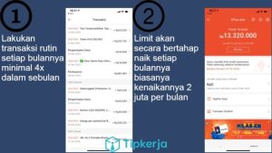 Cara Mengatasi Shopee PayLater Limit Tidak Muncul