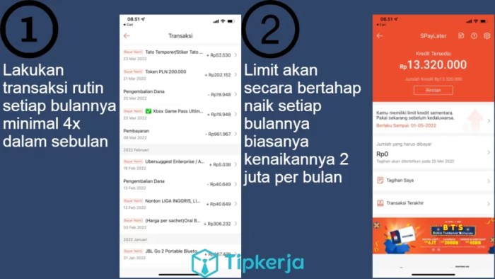Cara Mengatasi Shopee PayLater Limit Tidak Muncul
