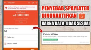 Kenapa Shopee PayLater Dinonaktifkan Sementara? Ini Penyebab dan Solusinya!