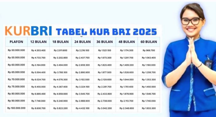 Ajukan Pinjaman KUR BRI Online Tanpa Ribet, Simak Caranya 2026