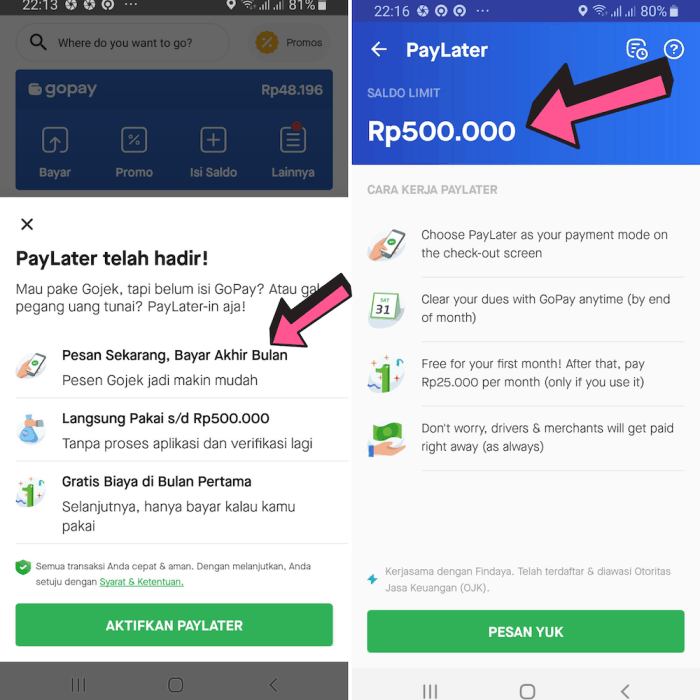 Review Paylater - OVO, Gojek, Traveloka - Terbaik (2024)