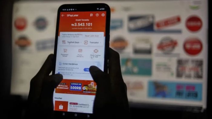 Cara Mengatasi Shopee PayLater Limit Tidak Muncul