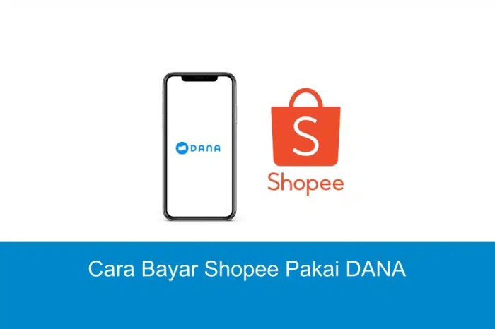 Semudah Apa Sih, Cara Bayar Shopee Pakai DANA? | Kredit Pintar Cara Bayar Cicilan Shopee via DANA
