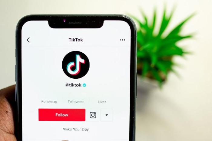 Panduan Melihat Profil Tiktok Tanpa Ketahuan