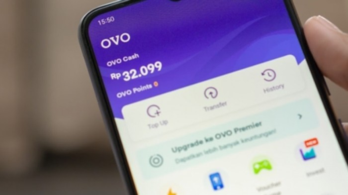 Cara Mengatasi OVO Tidak Bisa Scan QRIS, Mudah dan Praktis! Solusi OVO Tidak Bisa Scan QR Code dan Cara Mengatasinya