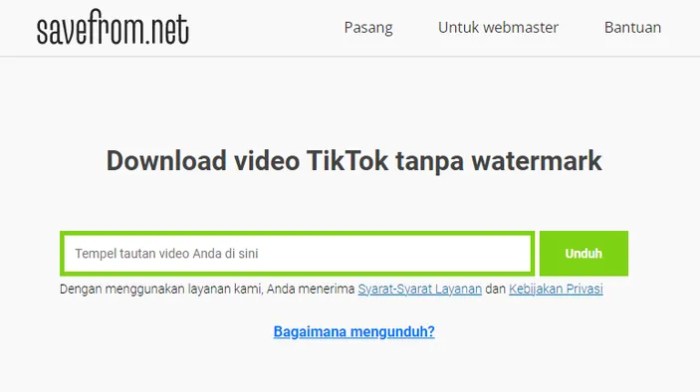 SaveFrom TikTok Downloader MP4, Download Video TikTok MP4 Tanpa ...