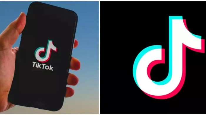 Cara Menghapus Watermark Pada Video Tiktok
