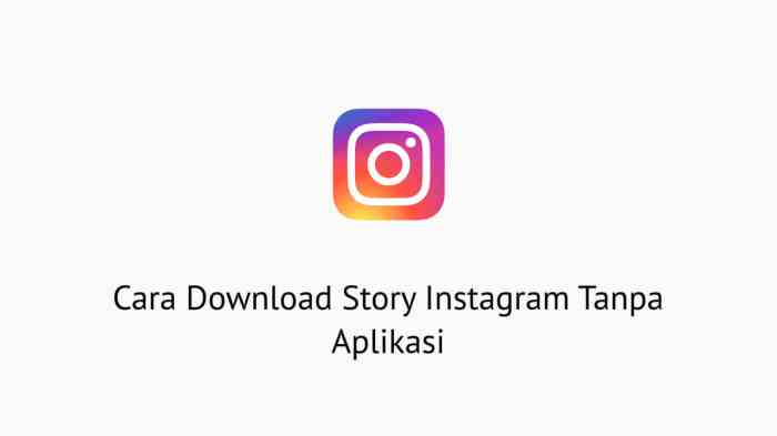 Tutorial Download Instagram Story Tanpa Aplikasi Tambahan