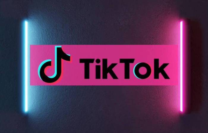 Cara Download Story Tiktok Tanpa Diketahui