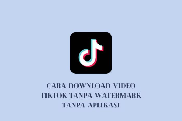 Tutorial Download Video Tiktok Tanpa Watermark Hd