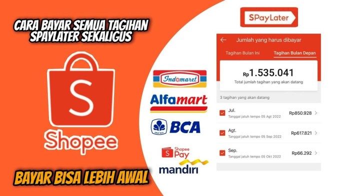 Cara Melunasi Cicilan Shopee PayLater Sekaligus dlm 6 Langkah Kenapa Cicilan Shopee Tidak Bisa Digunakan? Ini Solusinya