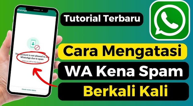 Cara Mengatasi Whatsapp Kena Spam Dengan Efektif
