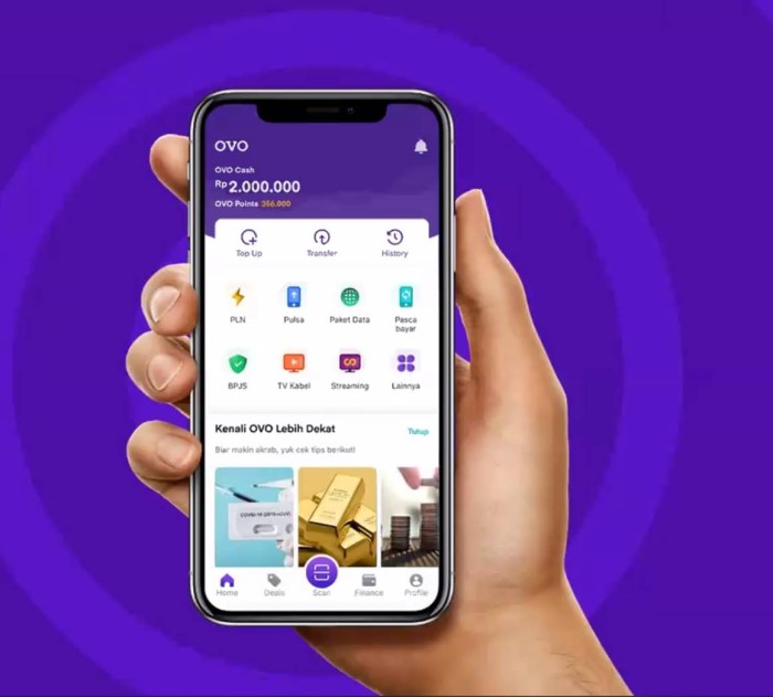 Panduan Upgrade OVO Premier: Langkah Mudah untuk Nikmati Fitur ...
