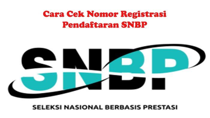 Status SNBP Tidak Muncul? Ini Cara Cek yang Benar