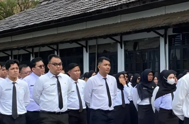 Formasi CPNS Tidak Muncul? Ini Penyebabnya dan Solusinya