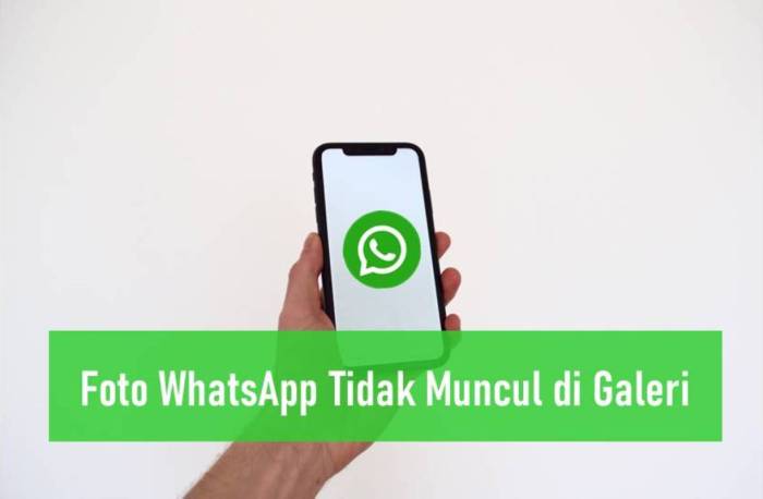 Mengapa Whatsapp Image Tidak Muncul Di Galeri Hp