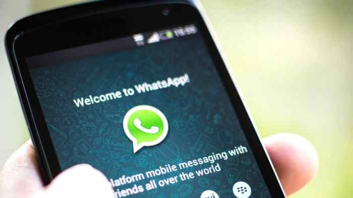 How to fix WhatsApp verification code not received : best solutions