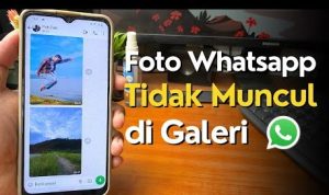 Mengapa Whatsapp Image Tidak Muncul Di Galeri Hp