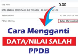 Nilai Tidak Terbaca di PPDB? Ini Cara Memperbaiki