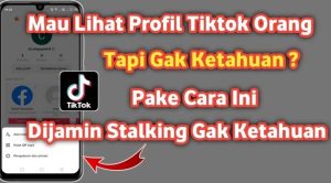 Panduan Melihat Profil Tiktok Tanpa Ketahuan dengan Aman