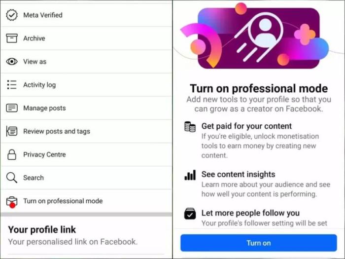 Tutorial Membuat Facebook Pro Dan Menghasilkan Uang