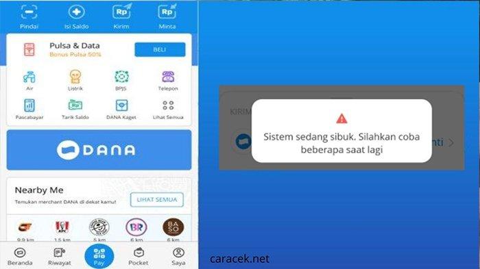 Penyebab dan Solusi Aplikasi DANA Tidak Bisa Transfer, Saldo tidak ...