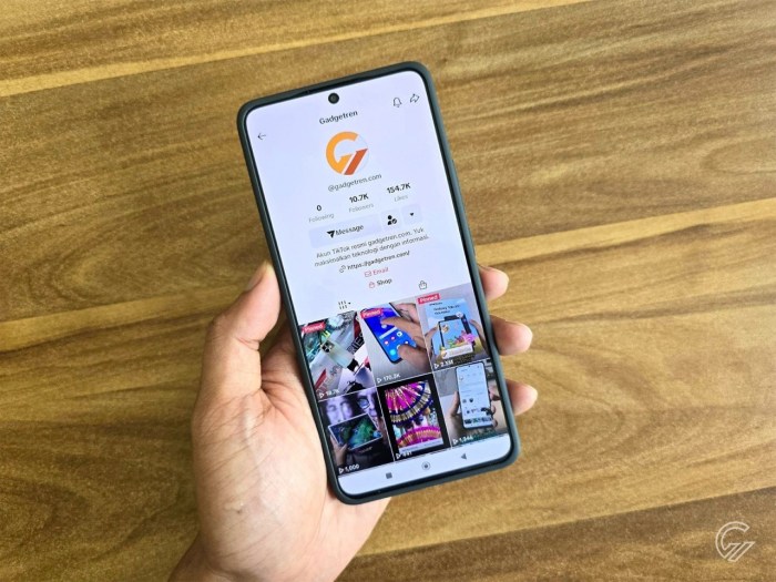 Cara Melihat Profil TikTok Tanpa Ketahuan Orang Lain