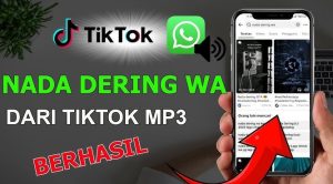 Tutorial Download Audio Tiktok Untuk Nada Dering Hp
