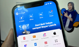 apliaksi dana tidak bisa transfer