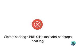 apliaksi dana tidak bisa transfer