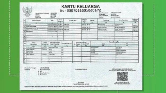 KK Tidak Valid untuk Daftar Online? Ini Solusinya