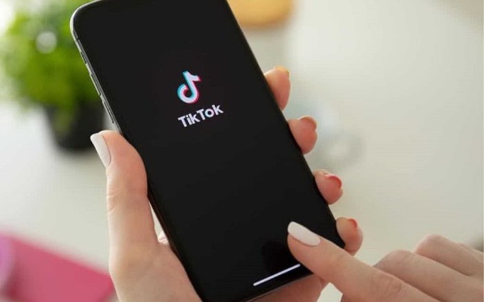 Tutorial Download Audio Tiktok Untuk Nada Dering Hp
