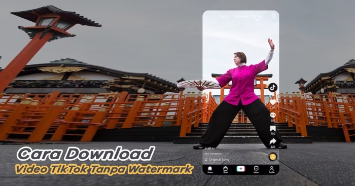 Tutorial Download Video Tiktok Tanpa Watermark Hd