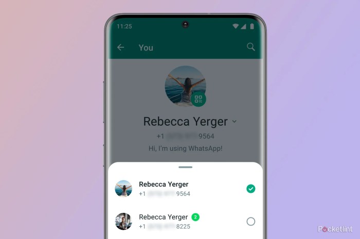 How To Use 2 WhatsApp Accounts on One Device — Tech How