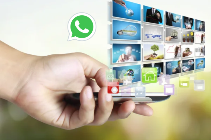 Solusi Foto Whatsapp Tidak Tersimpan Di Galeri