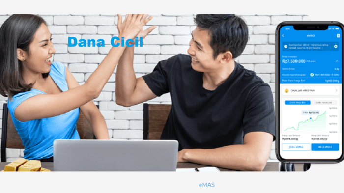 Kenapa DANA Cicil Tidak Tersedia dan Cara Mengaktifkannya