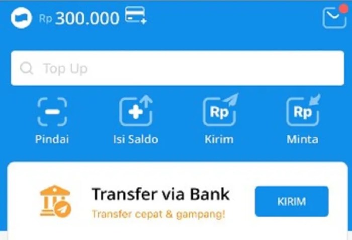 Pinjam Saldo DANA 50 Ribu-100 Ribu Tanpa KTP Bisa Langsung Cair Bayar ...