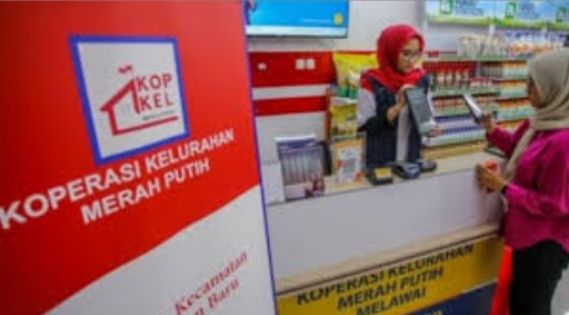 Cara Cek Pengumuman Koperasi Merah Putih 2026 Secara Online Resmi