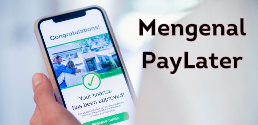 Memahami Konsep Paylater