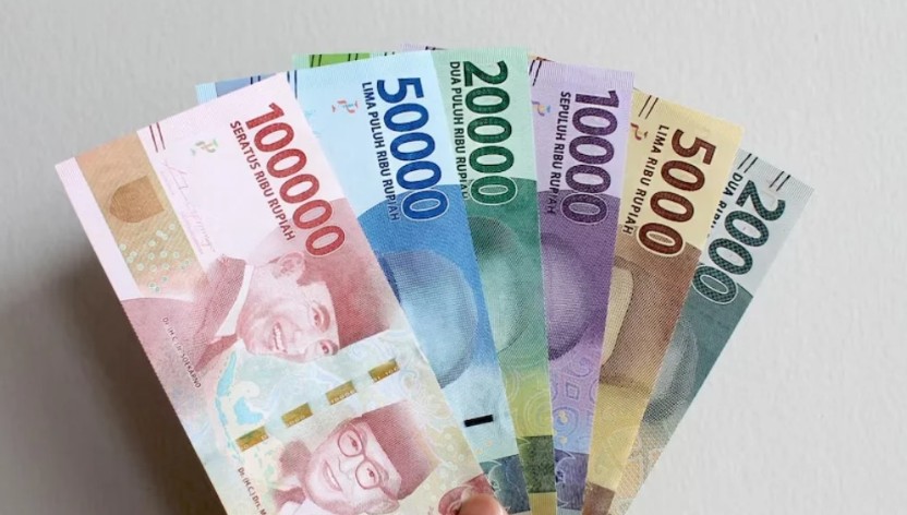 Mengatasi Masalah saat Cek PIP