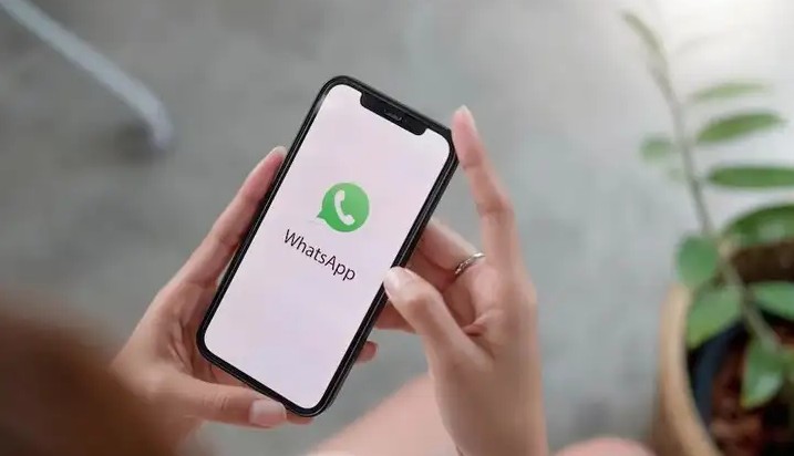 Pengantar tentang Tema WhatsApp