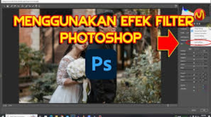 Penggunaan Filter dan Preset
