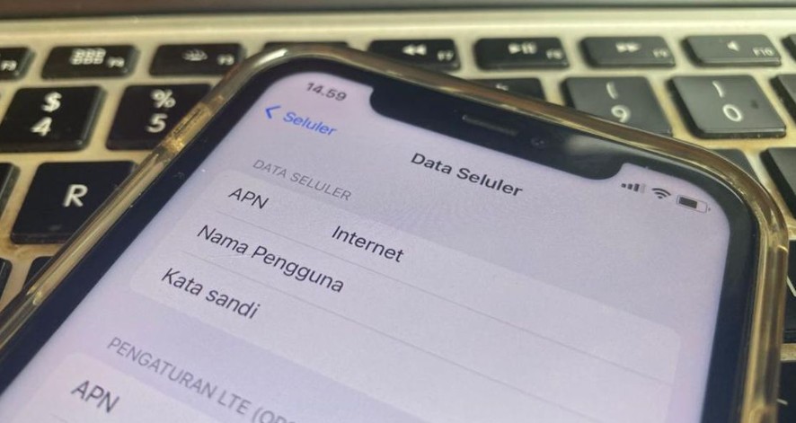 Pentingnya Pengaturan APN