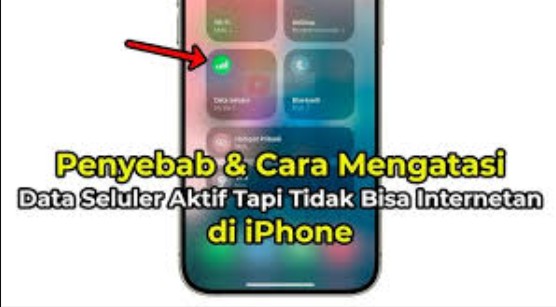 Penyebab Data Seluler Aktif Tapi Tidak Bisa Internetan