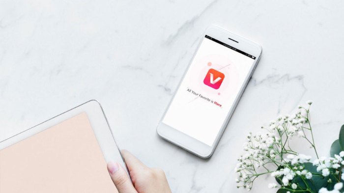 Cara Download Vidmate Versi Lama Gratis Tanpa Iklan 2025 Download Aplikasi Vitmet Versi Lama 2026 Untuk Android Terbaru